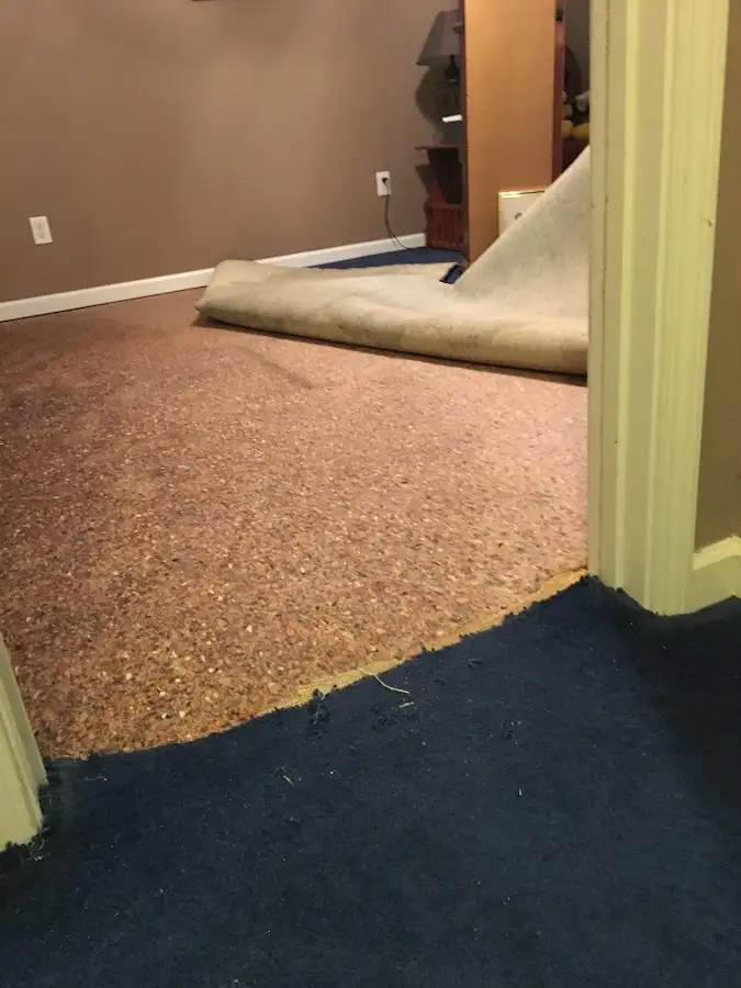 Carpet pad removal revealing water damage during Water Mitigation Services in La Quinta